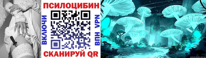 Псилоцибиновые грибы Cubensis  Купить  Липецк 